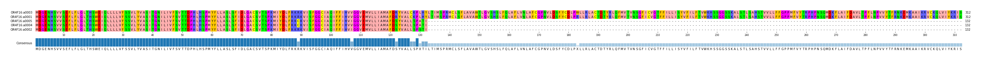 Multiple Alignments (by translate haplotype similarity)