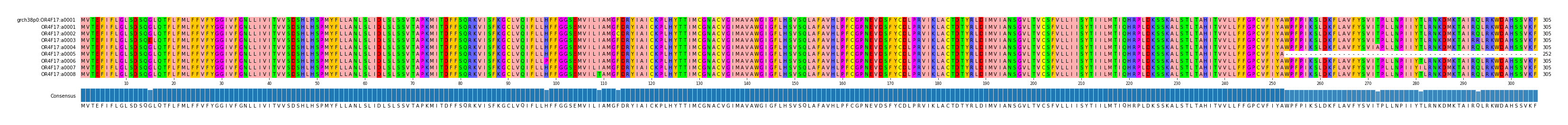 Multiple Alignments (by translate haplotype frequency)