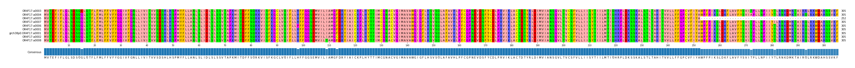 Multiple Alignments (by translate haplotype similarity)
