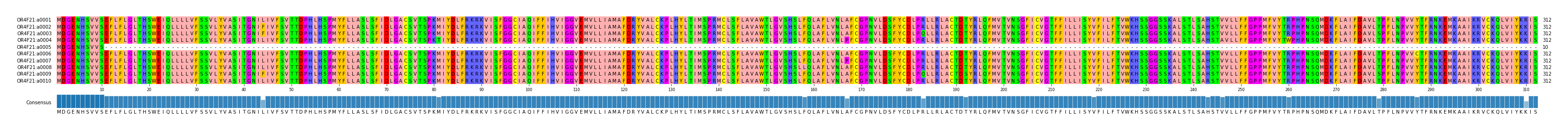Multiple Alignments (by translate haplotype frequency)