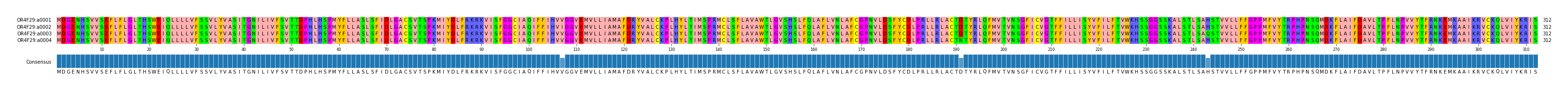 Multiple Alignments (by translate haplotype frequency)