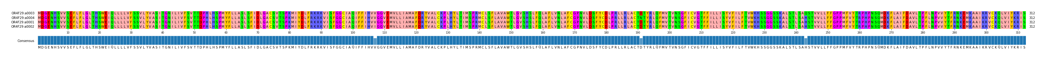 Multiple Alignments (by translate haplotype similarity)