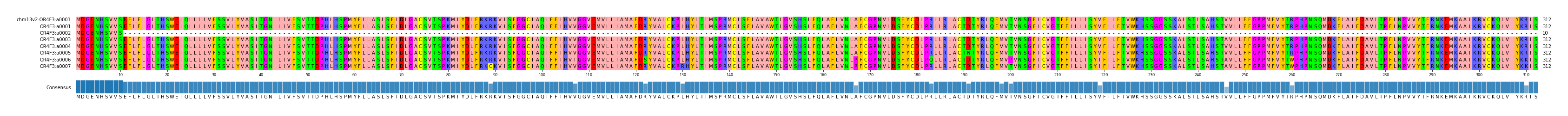 Multiple Alignments (by translate haplotype frequency)