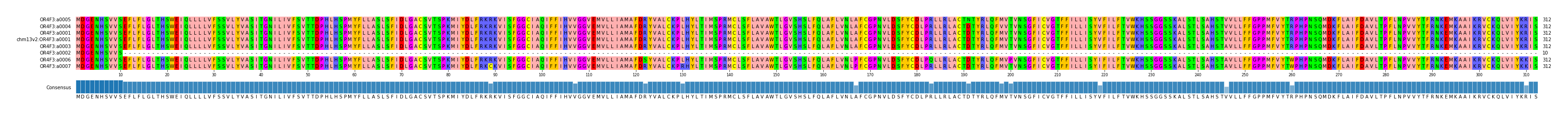 Multiple Alignments (by translate haplotype similarity)
