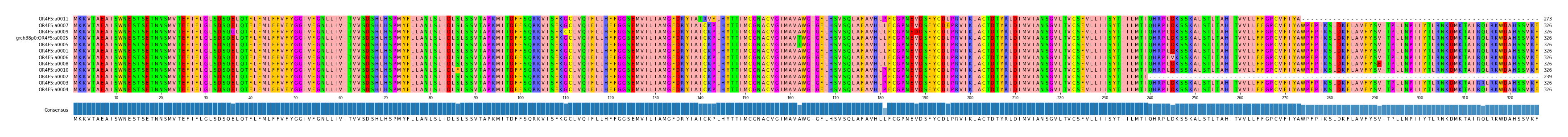 Multiple Alignments (by translate haplotype similarity)