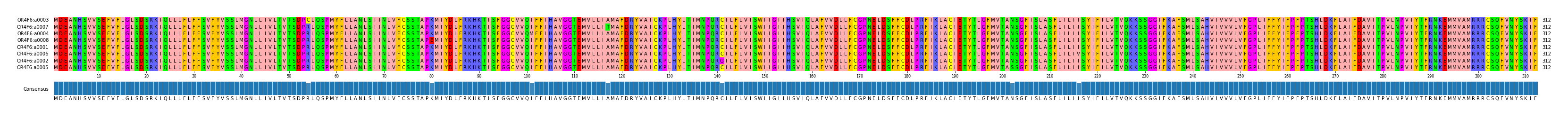 Multiple Alignments (by translate haplotype similarity)