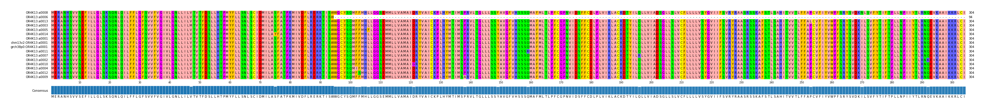 Multiple Alignments (by translate haplotype similarity)