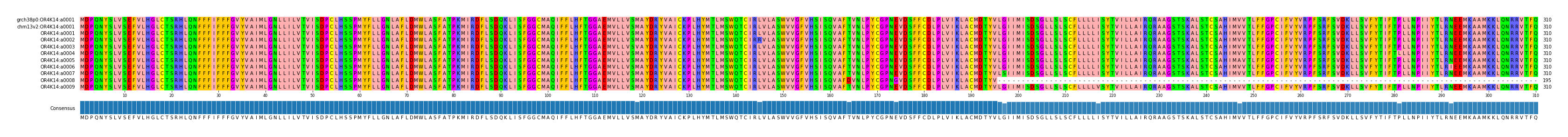 Multiple Alignments (by translate haplotype frequency)