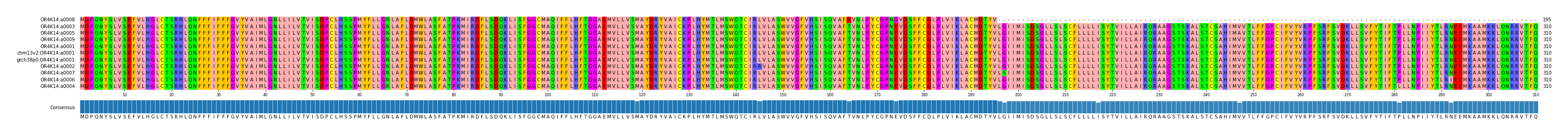 Multiple Alignments (by translate haplotype similarity)