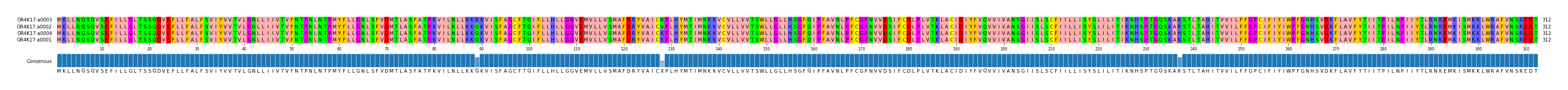 Multiple Alignments (by translate haplotype similarity)