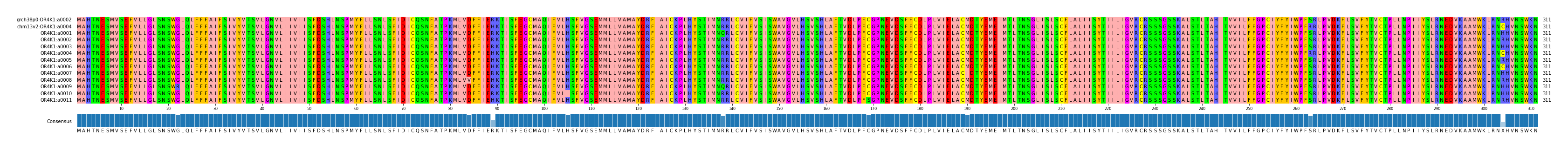 Multiple Alignments (by translate haplotype frequency)