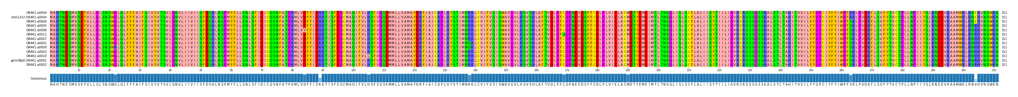 Multiple Alignments (by translate haplotype similarity)