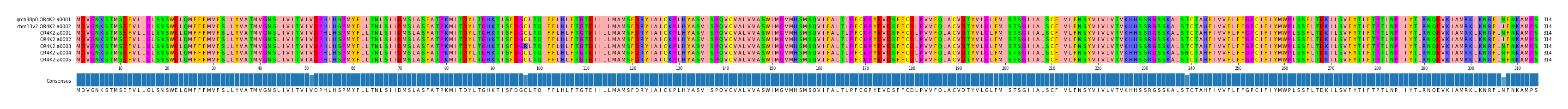 Multiple Alignments (by translate haplotype frequency)