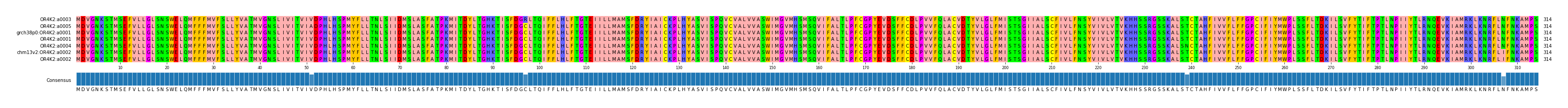 Multiple Alignments (by translate haplotype similarity)