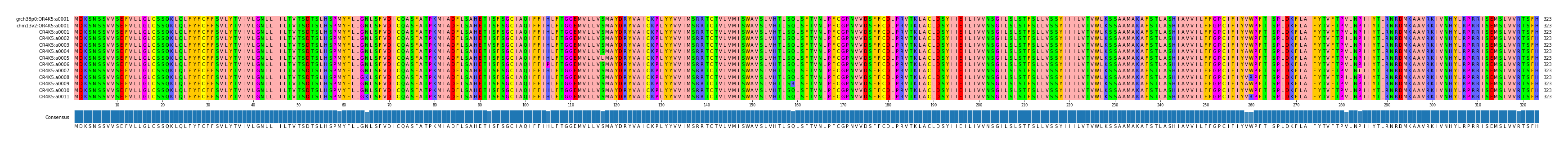 Multiple Alignments (by translate haplotype frequency)