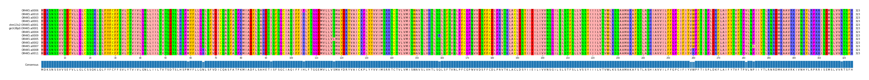 Multiple Alignments (by translate haplotype similarity)