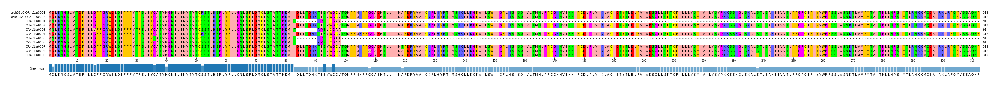 Multiple Alignments (by translate haplotype frequency)