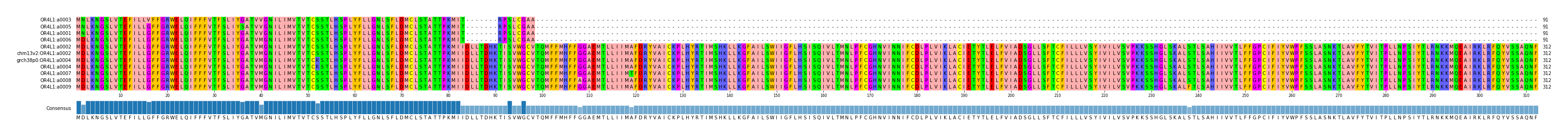 Multiple Alignments (by translate haplotype similarity)