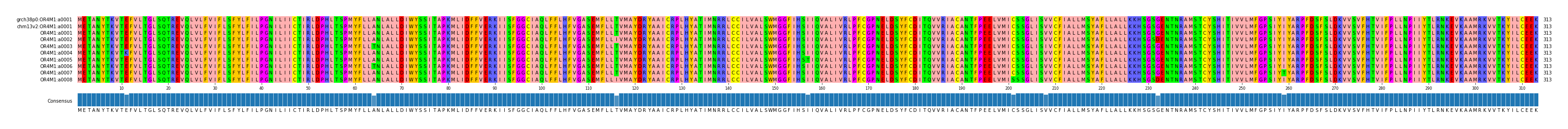 Multiple Alignments (by translate haplotype frequency)
