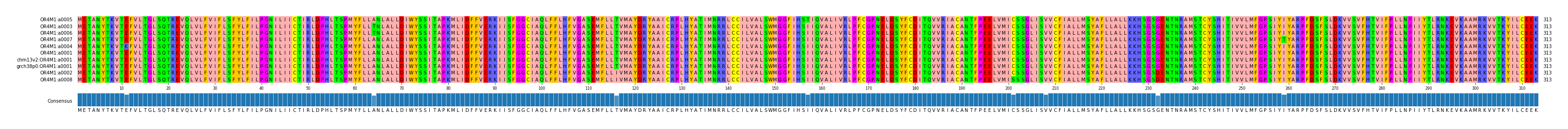 Multiple Alignments (by translate haplotype similarity)