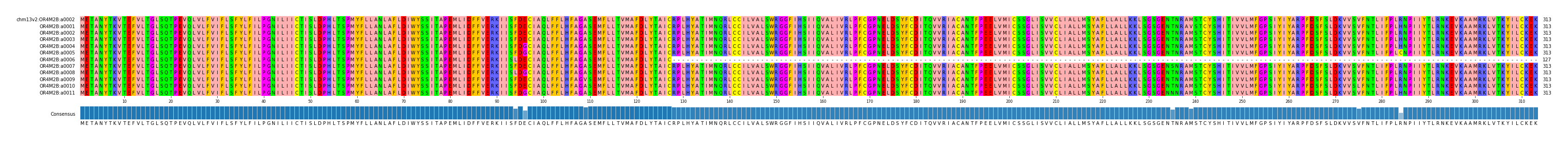 Multiple Alignments (by translate haplotype frequency)