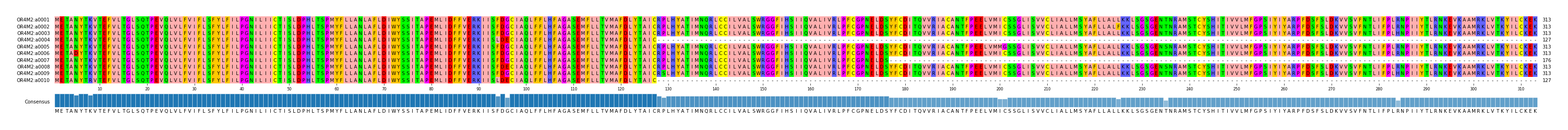 Multiple Alignments (by translate haplotype frequency)