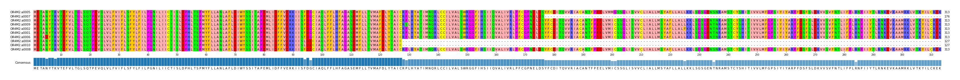 Multiple Alignments (by translate haplotype similarity)