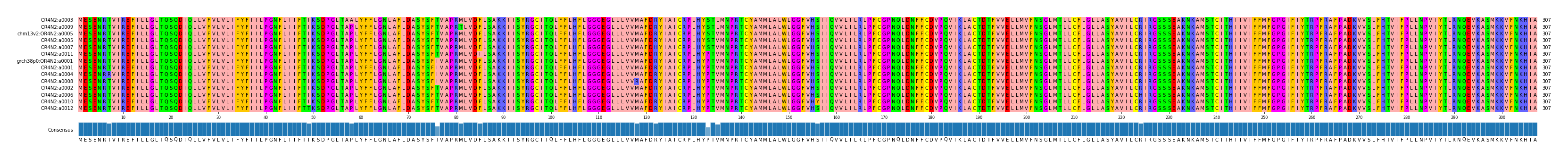Multiple Alignments (by translate haplotype similarity)