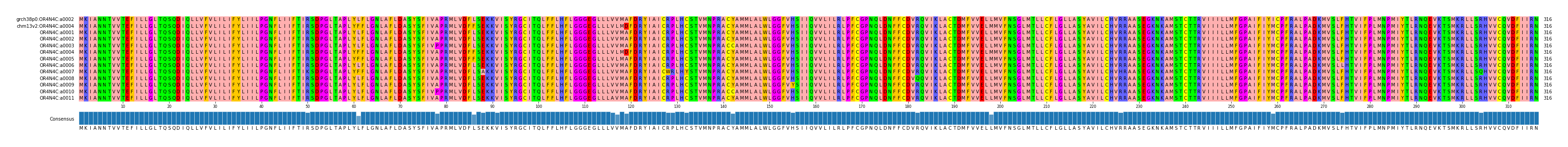 Multiple Alignments (by translate haplotype frequency)