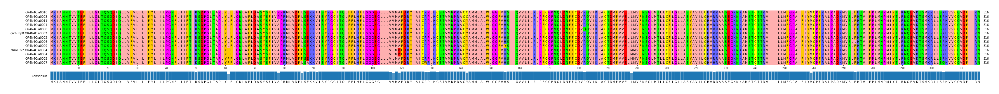 Multiple Alignments (by translate haplotype similarity)