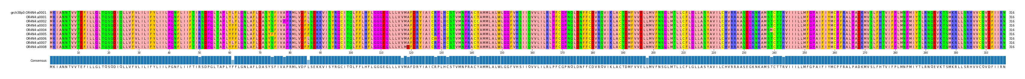Multiple Alignments (by translate haplotype frequency)