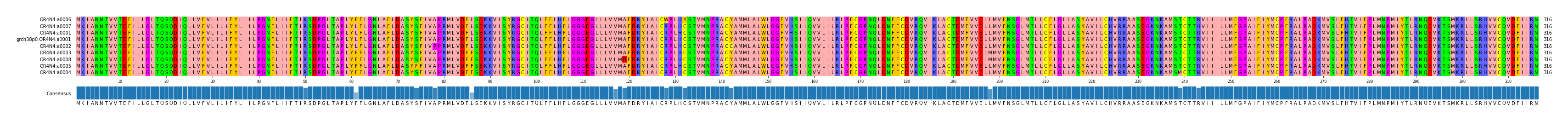 Multiple Alignments (by translate haplotype similarity)