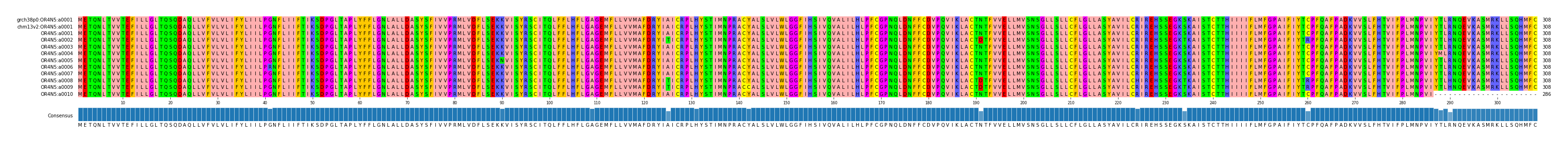 Multiple Alignments (by translate haplotype frequency)