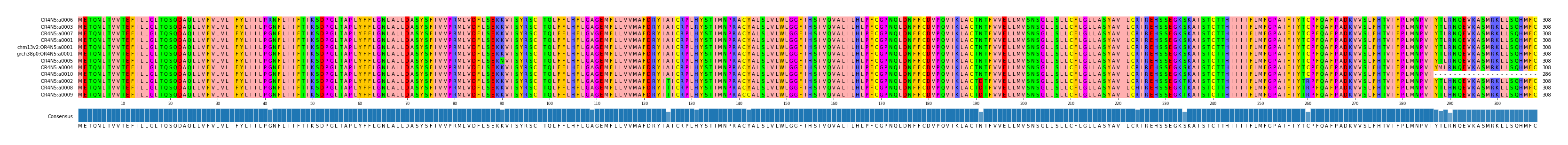 Multiple Alignments (by translate haplotype similarity)