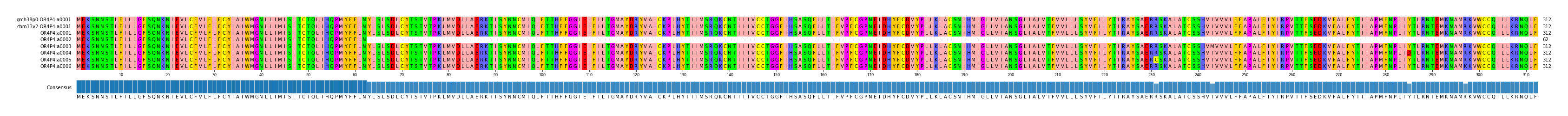 Multiple Alignments (by translate haplotype frequency)