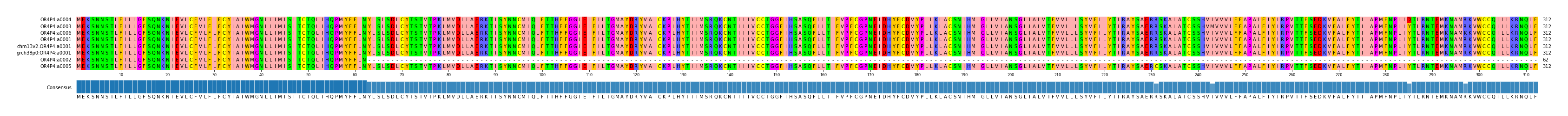 Multiple Alignments (by translate haplotype similarity)