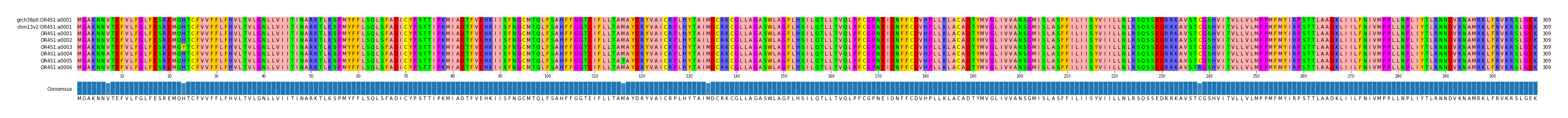 Multiple Alignments (by translate haplotype frequency)