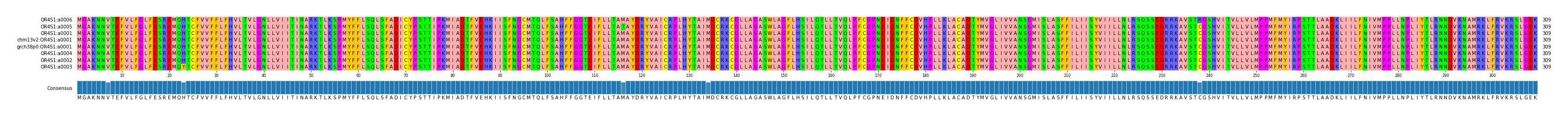 Multiple Alignments (by translate haplotype similarity)
