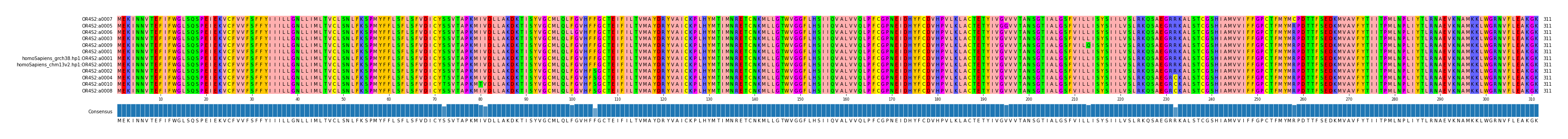 Multiple Alignments (by translate haplotype similarity)