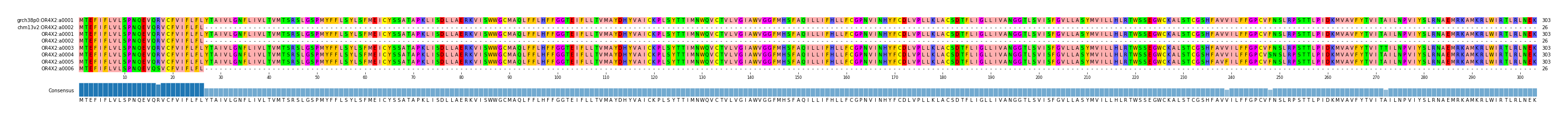 Multiple Alignments (by translate haplotype frequency)