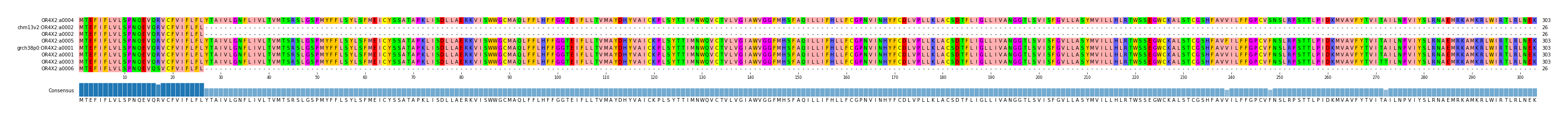 Multiple Alignments (by translate haplotype similarity)