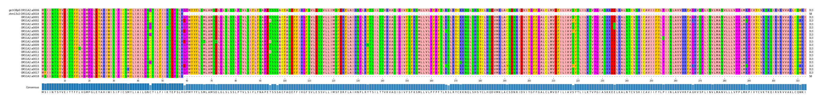 Multiple Alignments (by translate haplotype frequency)
