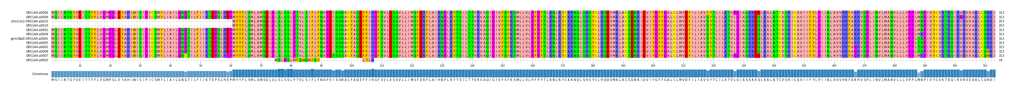 Multiple Alignments (by translate haplotype similarity)