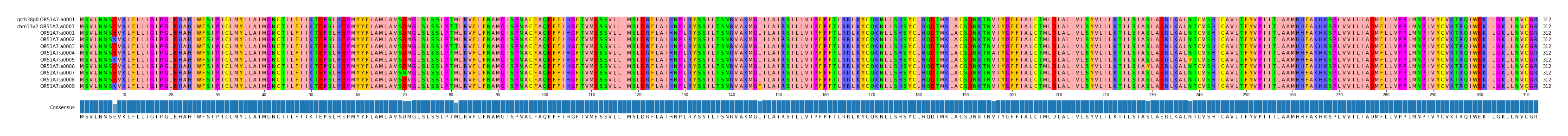 Multiple Alignments (by translate haplotype frequency)