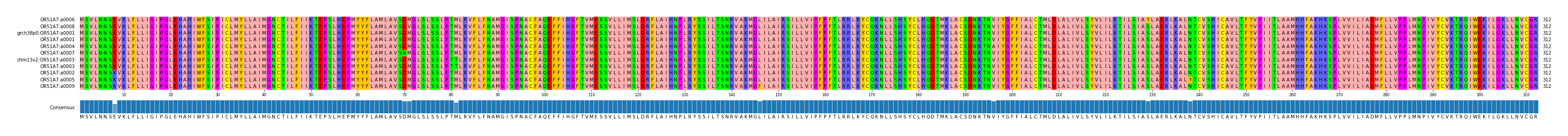 Multiple Alignments (by translate haplotype similarity)