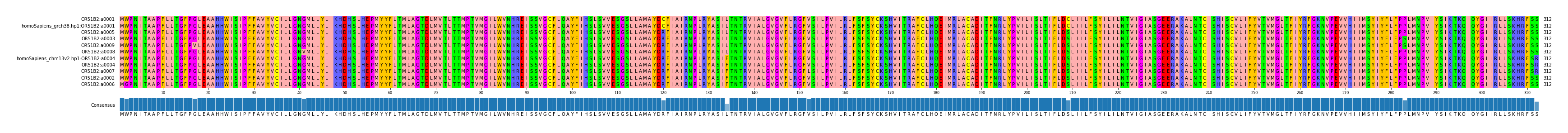 Multiple Alignments (by translate haplotype similarity)