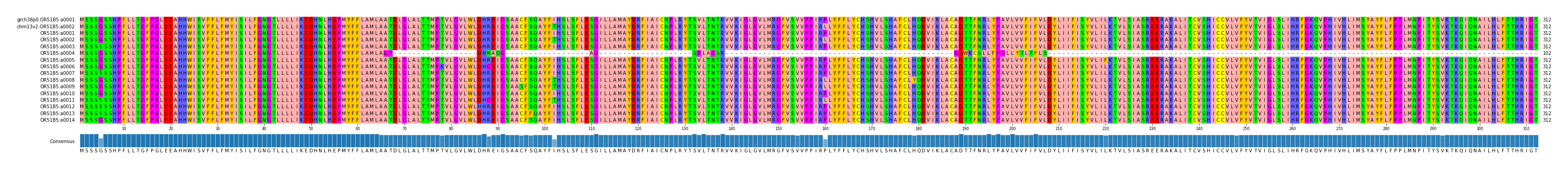 Multiple Alignments (by translate haplotype frequency)