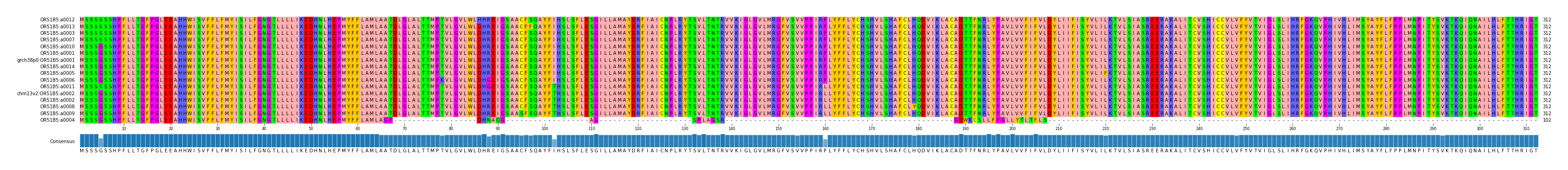 Multiple Alignments (by translate haplotype similarity)