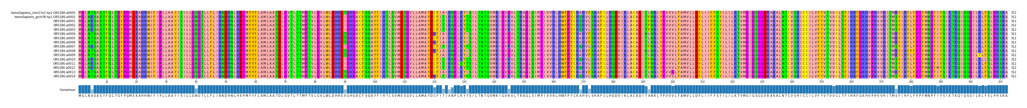 Multiple Alignments (by translate haplotype frequency)