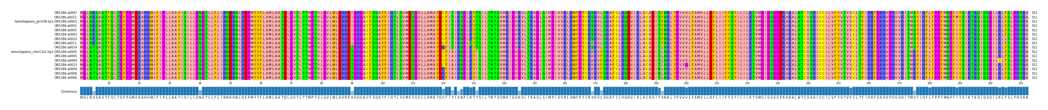Multiple Alignments (by translate haplotype similarity)